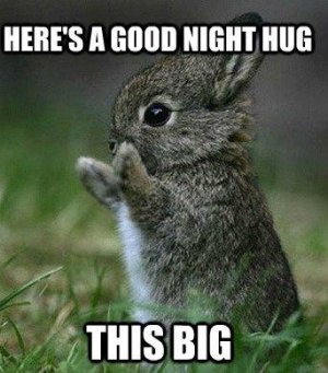 Cute-Good-Night-Meme.jpg