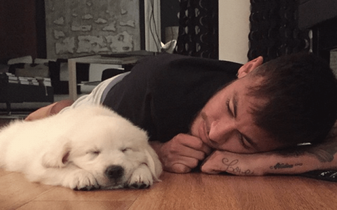 me-and-my-dog-wirtz-v0-5vh2zauetf0h1.png