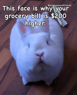360.jpg