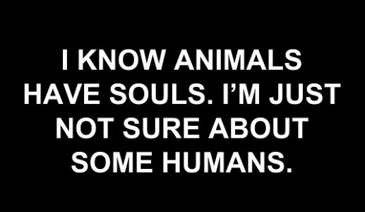 not sure.jpg