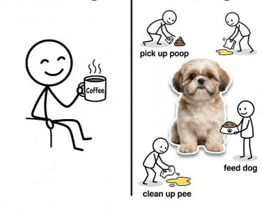 me vs wife.jpg