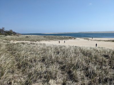 Cape Cod beach by lighthouse.jpg