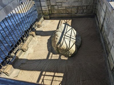 Plymouth Rock.jpg Plymouth Rock.jpg