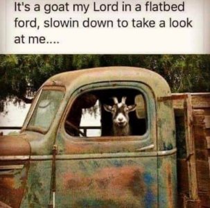 Goat.jpg