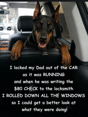 FB_IMG_1778275521013.jpg