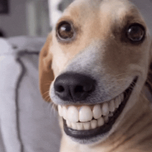 1000005504.gif