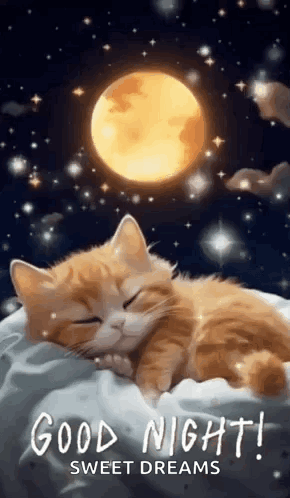 1000008325.gif