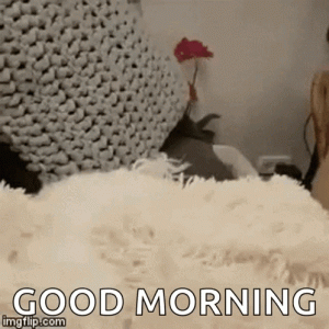 1000008446.gif