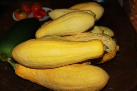 squash_harvested.jpg