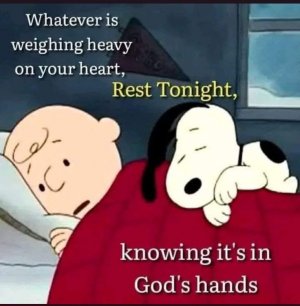 gn3.jpg gn3.jpg