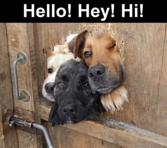 hello.hey.hi.jpg hello.hey.hi.jpg