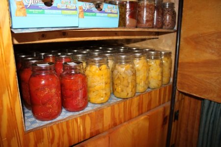 tomatoes_squash.jpg