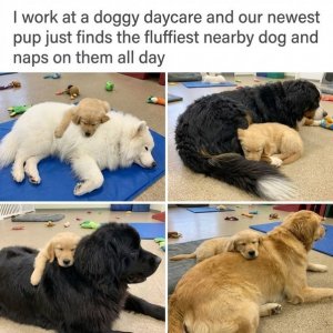 1000018040.jpg