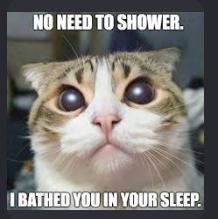 shower.jpg