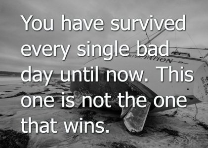 survived - Copy.jpg