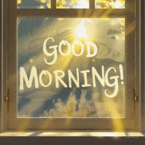 window.gif