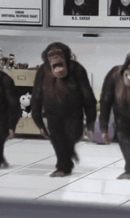 1778851468331.gif