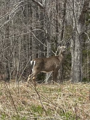 IMG_3851.jpeg