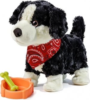 dog.jpg