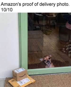 1000018127.jpg