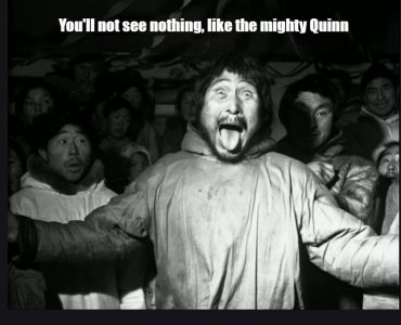 Quinn.jpg