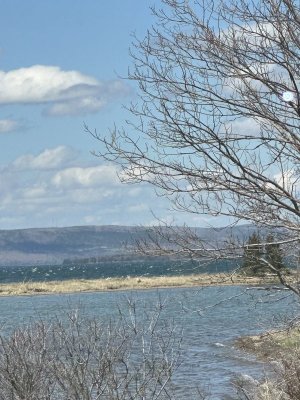 IMG_3893.jpeg