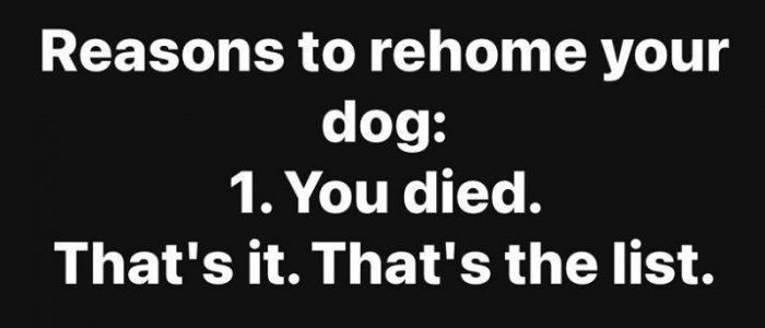 rehome.jpg