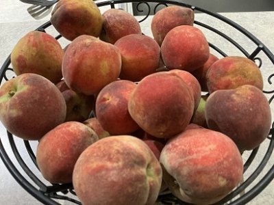 peach.jpg peach.jpg
