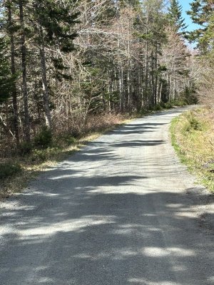 IMG_3911.jpeg