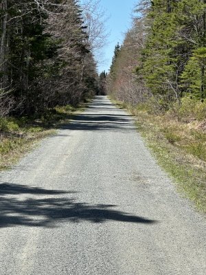 IMG_3914.jpeg