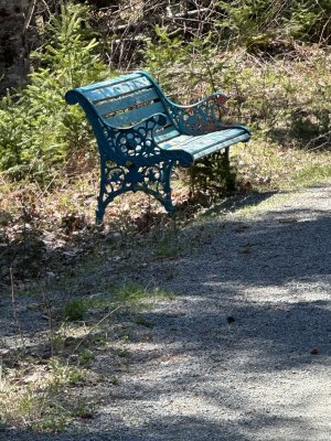 IMG_3915.jpeg