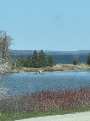IMG_3916.jpeg