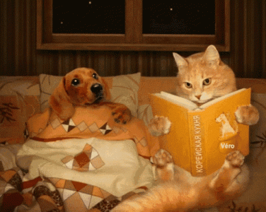 goodnight-puppy.gif