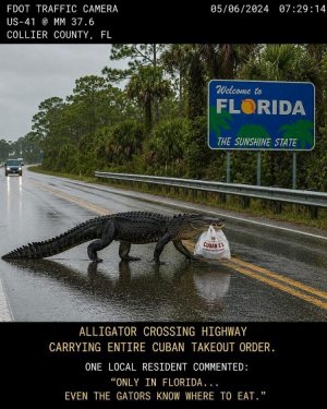 lunch is here.jpg