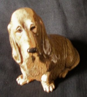 dog.jpg
