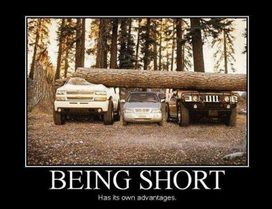 short.jpg short.jpg