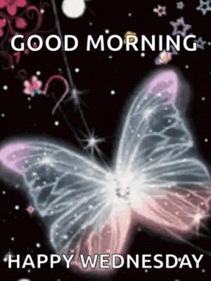 1000014675.gif
