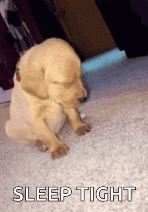 1000015196.gif