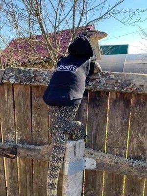 security.jpg