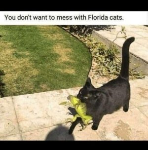 1000018285.jpg