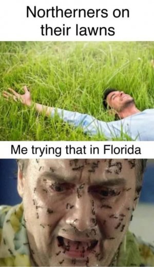 1000018284.jpg