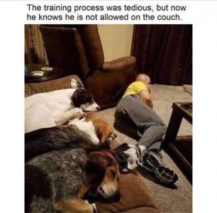training.jpg