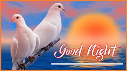 night052126.jpg