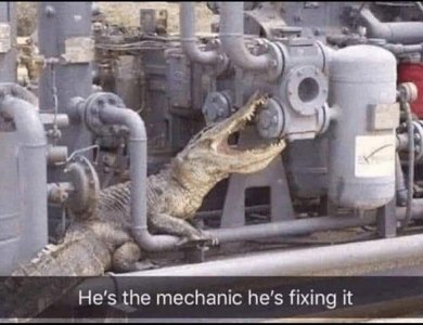 florida tech.jpg
