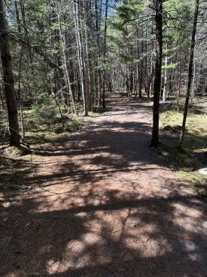 IMG_3975.jpeg IMG_3975.jpeg