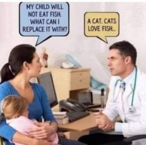 FB_IMG_1779242915098.jpg