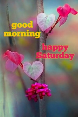 Happy-Saturday-Images-21.jpg