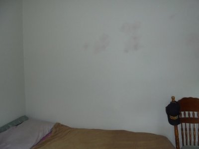 wall.JPG wall.JPG
