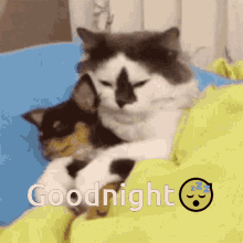 good-night-sleep.gif