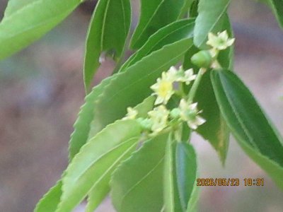 IMG_8175.JPG